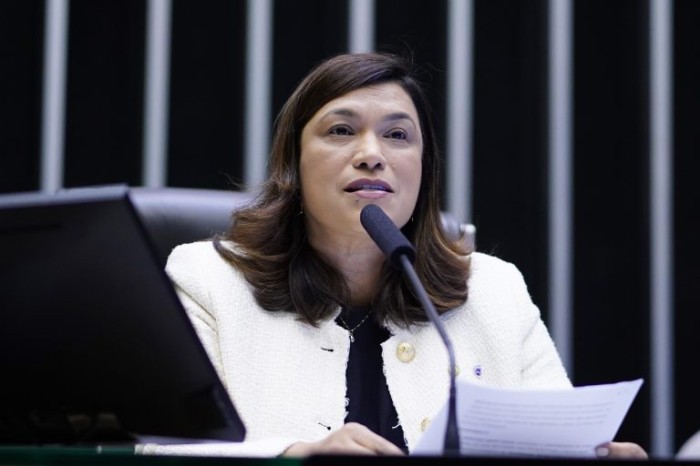 Maria Rosas recomendou a aprovação do projeto - (Foto: Pablo Valadares / Câmara dos Deputados)
