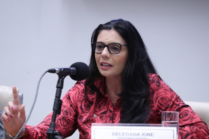 Delegada Ione  definiu que dados serão administrados pelo Conselho Nacional de Justiça - (Foto: Bruno Spada/Câmara dos Deputados)
