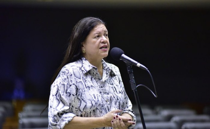 CCJ aprova projeto que cria campanha de conscientização contra o abandono de animais