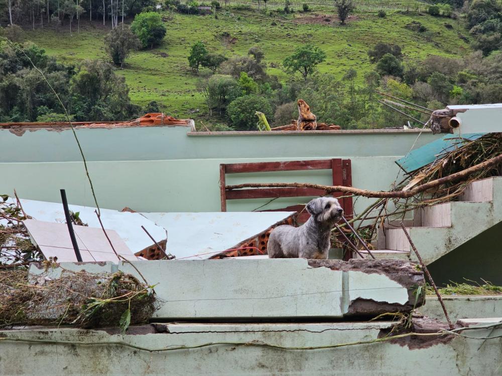 Nesta terça-feira, as equipes auxiliaram na limpeza das casas e desobstrução de vias na Linha Alcântara. Crédito: Marcelo Dargelio/NB Notícias