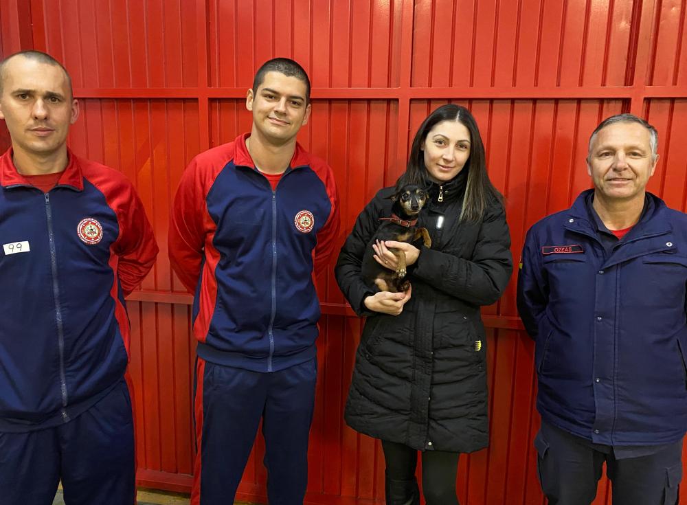 Bombeiros de Bento resgatam cachorro perdido em enchente de Santa Tereza