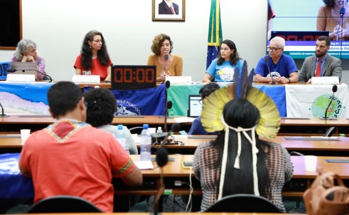 Talíria Petrone (C) cobrou “transição energética com justiça climática” - (Foto: Mario Agra /Câmara dos Deputados)