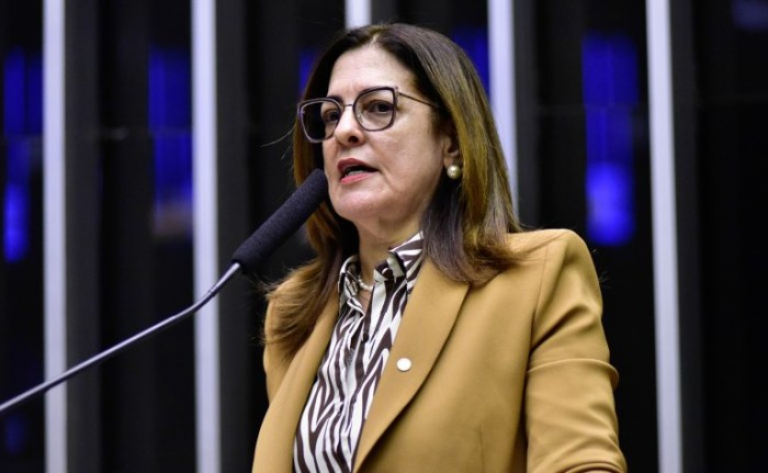 Rogéria Santos: a exigência de estágio obrigatório atinge todos os estudantes igualmente - (Foto: Zeca Ribeiro/Câmara dos Deputados)