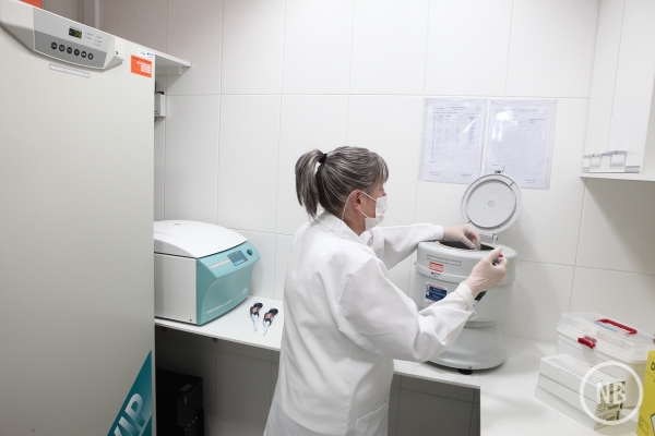 Carlos Ben/Divulgação