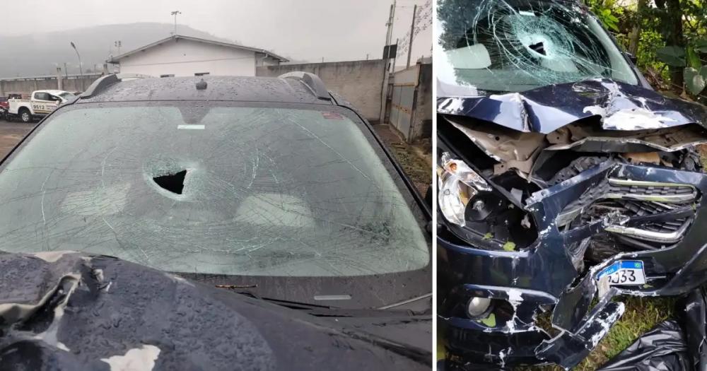 Além de atropelar a motociclista, condutora do automóvel ainda colidiu em uma árvore e um poste - Foto: Polícia Civil/Divulgação