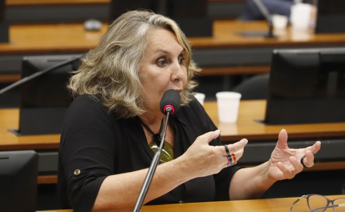 Erika Kokay é a autora do requerimento para a audiência - (Foto: Gilmar Félix / Câmara dos Deputados)