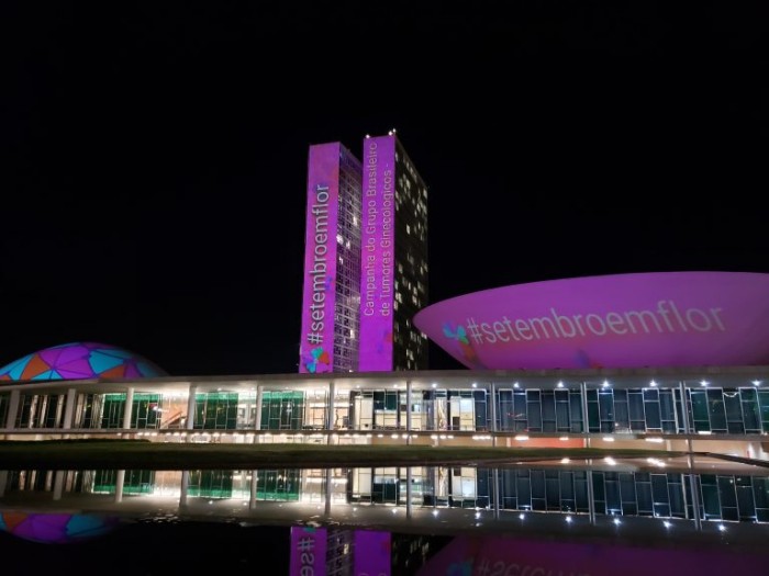 Congresso recebe projeção da campanha Setembro em Flor - (Foto: Pierre Triboli/Câmara dos Deputados)