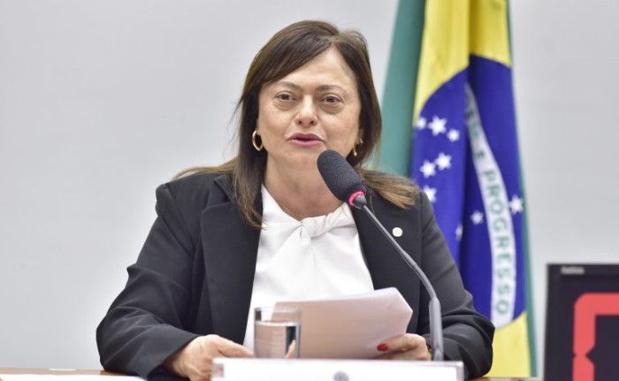 Alice Portugal vai estudar soluções para alguns problemas apontados - (Foto: Zeca Ribeiro / Câmara dos Deputados)