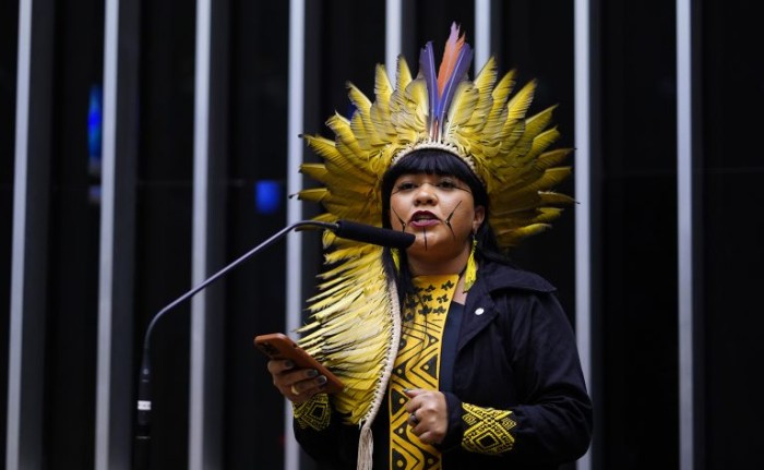 Comissão debate marco temporal da ocupação de terras indígenas e seus impactos nos biomas brasileiros