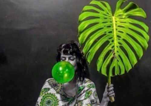 Solo em Foco - divulgação