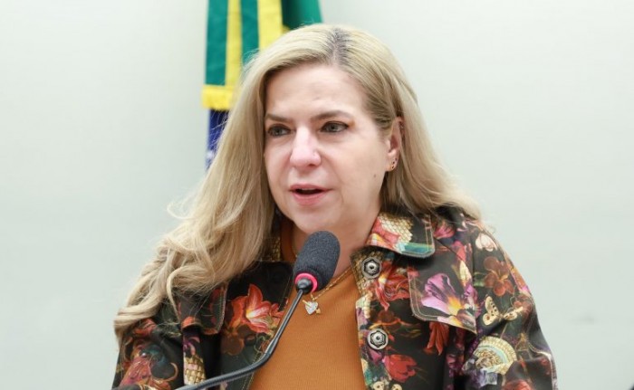 Luizianne Lins criticou ausência de algumas plataformas no debate - (Foto: Mario Agra / Câmara dos Deputados)