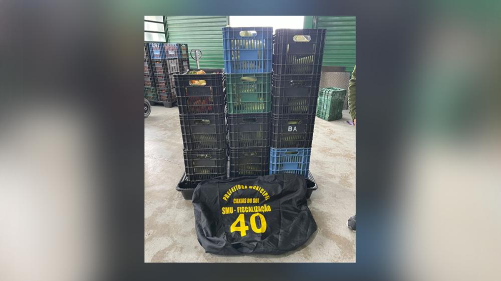 Crédito: Divulgação/SMU