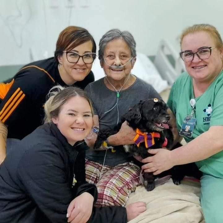 Paciente internada se emociona ao receber visita de seu pet no hospital