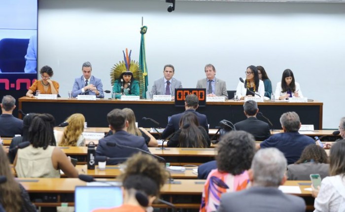 Deputados, governo e especialistas discutiram também sobre a transição energética do Brasil - (Foto: Vinicius Loures / Câmara dos Deputados)