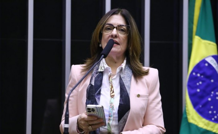 Rogéria Santos: índice vai permitir uma avaliação mais abrangente e precisa - (Foto: Vinicius Loures/Câmara dos Deputados)