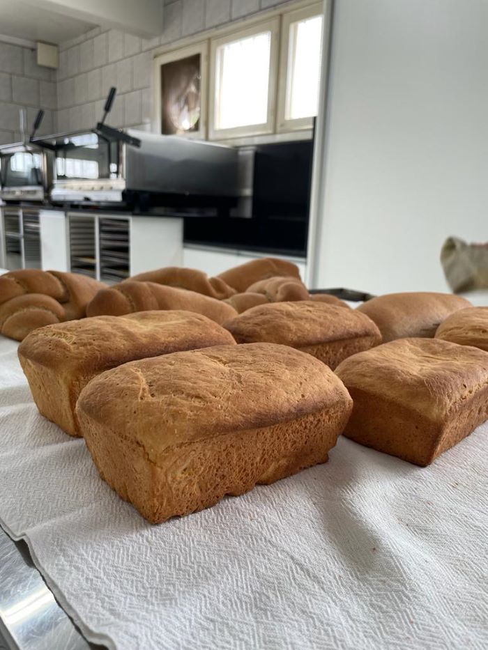 Crédito: Divulgação 