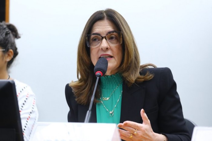 Para Rogéria Santos, a medida aprovada tem impacto social relevante - (Foto: Vinicius Loures/Câmara dos Deputados)