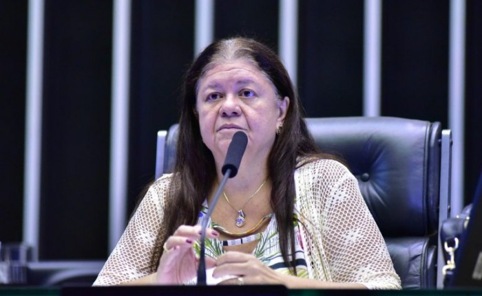 A relatora, deputada Laura Carneiro, recomendou a aprovação da proposta - (Foto: Zeca Ribeiro / Câmara dos Deputados)
