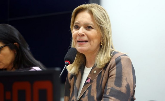 Lêda Borges: visão preconceituosa não espelha a dura realidade da dupla jornada de trabalho das mulheres - (Foto: Vinicius Loures/Câmara dos Deputados)