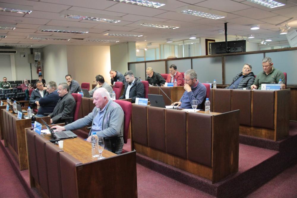 Crédito: Divulgação/Câmara de Vereadores 