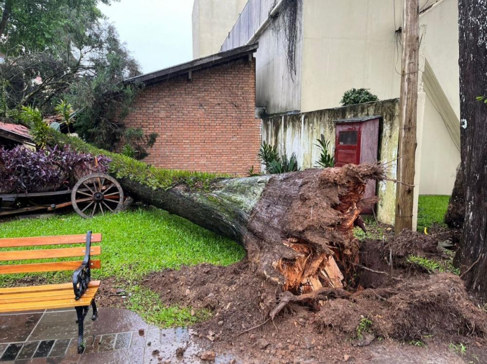 Foto: Prefeitura de Bento Gonçalves