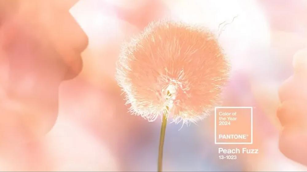 Pantone revela a cor do ano para 2024
