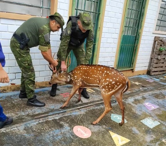 Crédito: Divulgação/3ºBABM
