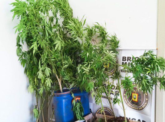 Créditos: João Victor Lopes/RÁDIO UIRAPURU