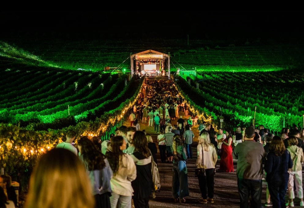 Foto: Natana Fontes/Divulgação     