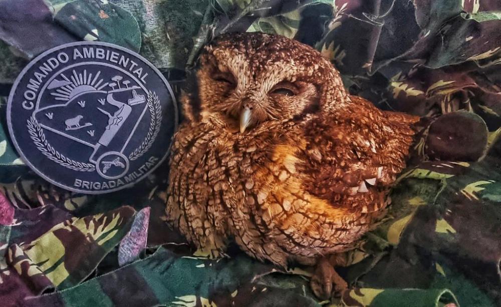 Crédito: Divulgação/3ºBABM