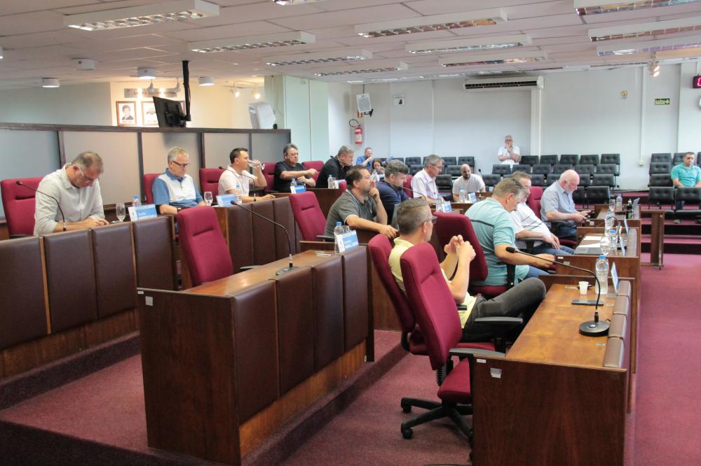 Crédito: Divulgação/Câmara de Vereadores 