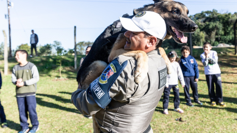 Crédito: Divulgação/Brigada Militar