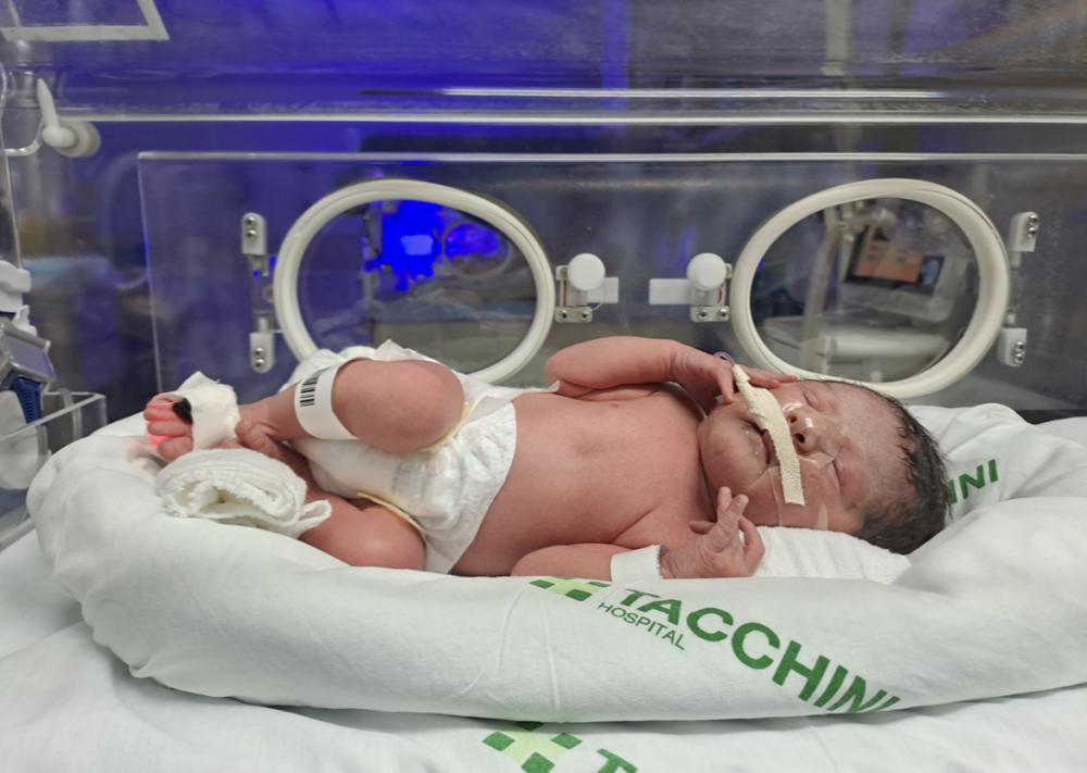 Crédito: Divulgação