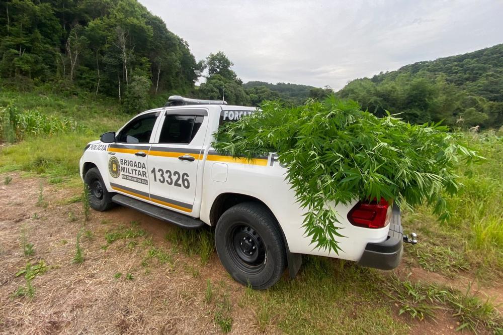 Foto: BM/Divulgação 