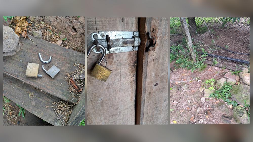 Crédito: Divulgação/Rádio Garibaldi 