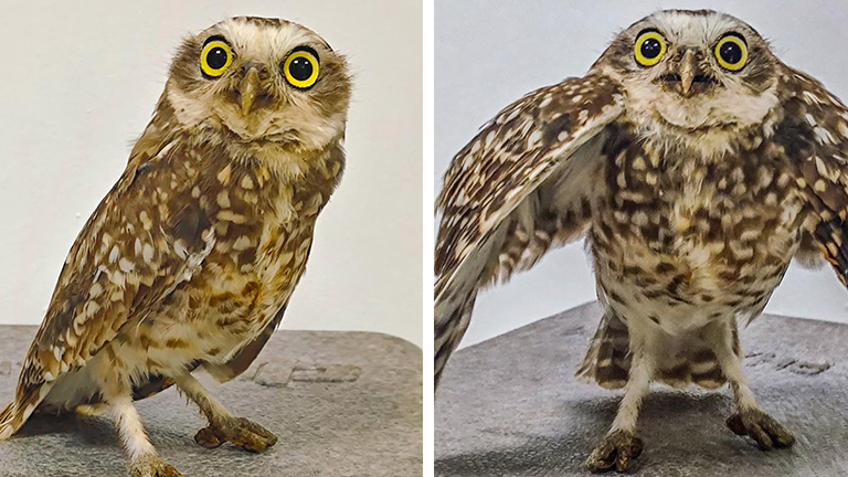 Crédito: Divulgação/3ºBABM