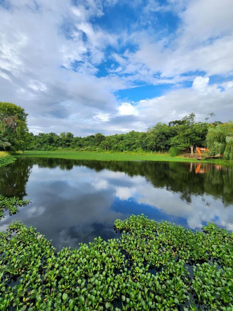 Na última semana, a Prefeitura tem feito a limpeza do local, mas o restante da obra ainda não está evoluindo rápido o suficiente. Crédito: Fabiane Capelaro 
