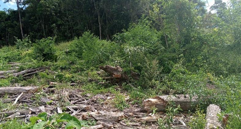 Crédito: Divulgação/3ºBABM