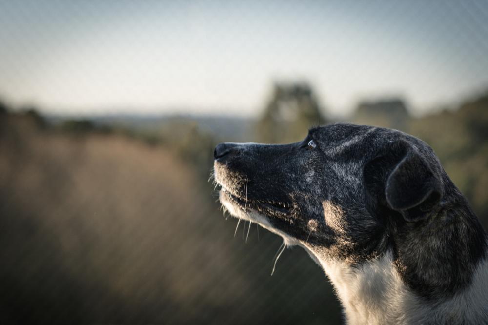Crédito: Divulgação/Assessoria de Comunicação da Prefeitura