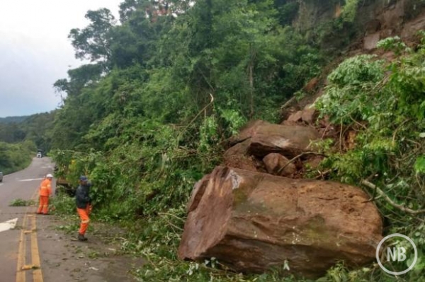 Tainara Alba/Divulgação