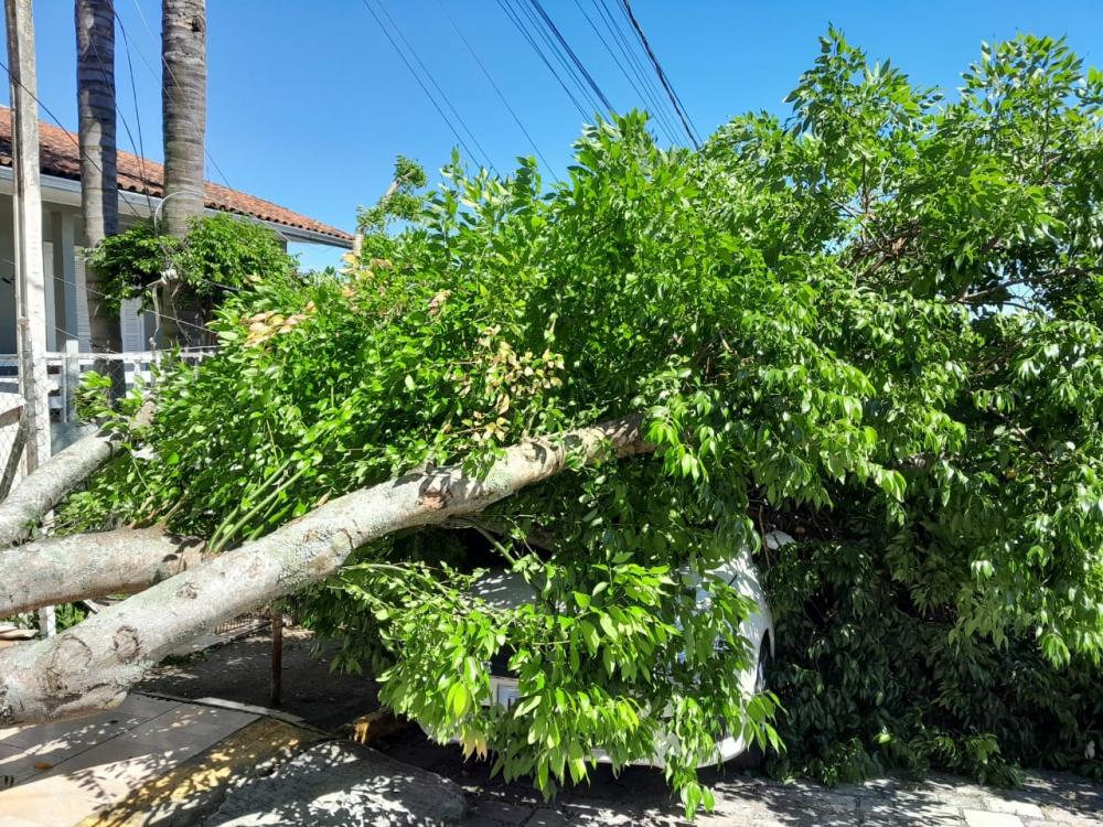 Foto: Corpo de Bombeiros