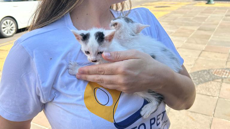 Registro da última ação realizada em março de 2024. Crédito: Rodrigo de Marco/Assessoria de Comunicação da Prefeitura 