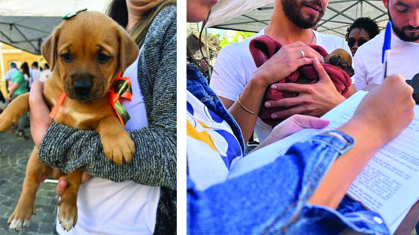 Crédito: Rodrigo De Marco / Assessoria de Comunicação Social da Prefeitura