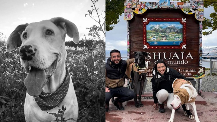 O casal e a dupla de cachorros saíram em expedição no início de abril de 2024. Crédito: Reprodução/Redes Sociais