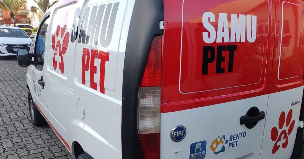 Crédito: Divulgação