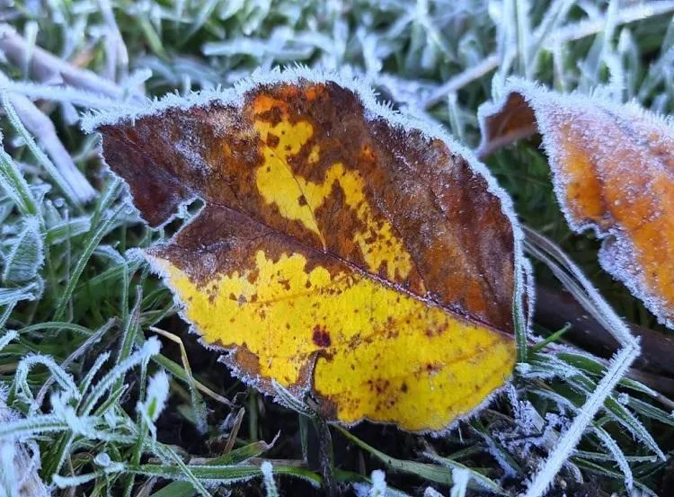 Primeiras horas da manhã terão sensação térmica de zero grau - Foto: Jorge Bronzato Junior/Divulgação