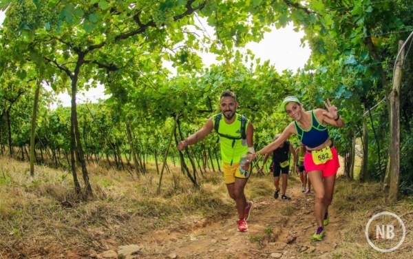 Maratona do Vinho/Divulgação