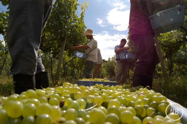 Gilmar Gomes/Divulgação