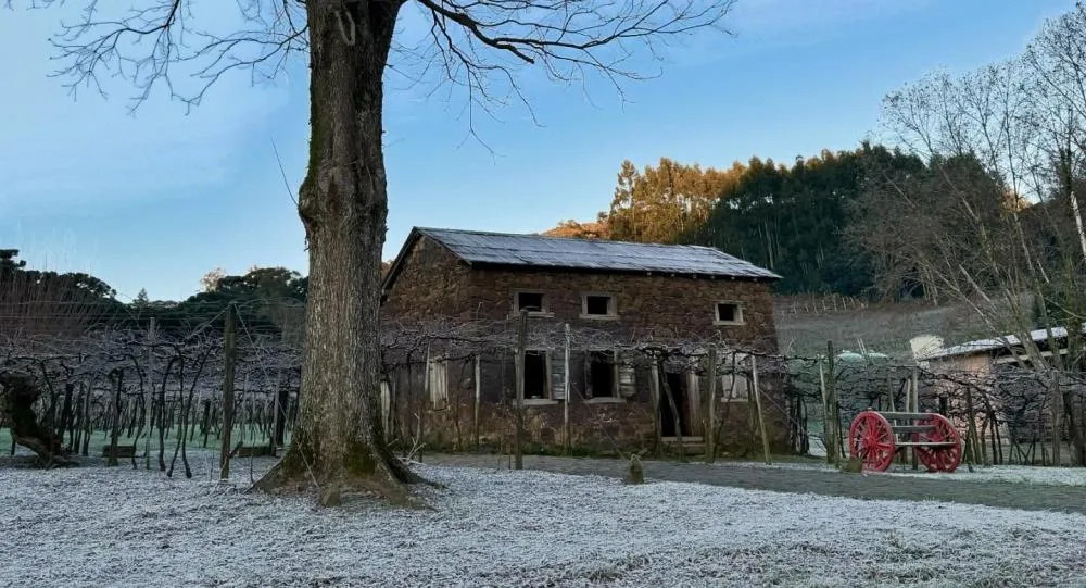 Geada deixou os gramados branquinhos no interior de Bento Gonçalves - Foto: Cantina Strapazzon/Divulgação