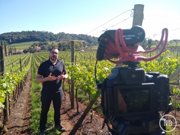 IFRS oferece curso gratuito de Conceitos Básicos de Viticultura